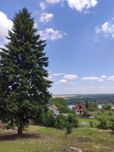 prodaja kuca i vikendica topola i okolina: 40 sq. m, 1 bedroom