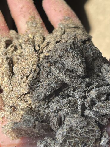 Айыл-чарба жаныбарлары: Жмых сафлора только оптом от 30 тонн и выше Доставка обсуждается