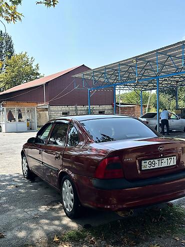 guzgu: Opel Vectra: 0.8 l | 1998 il 260 km Sedan — 5