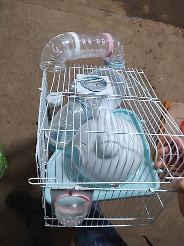 Клетки: Real alıcıya xüsusi endirim olunacaq! Hamster üçün tam set qəfəs - — 2