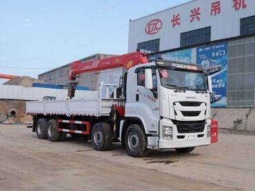 Манипуляторы: Манипулятор, XCMG, 2024 г., 8 т — 15