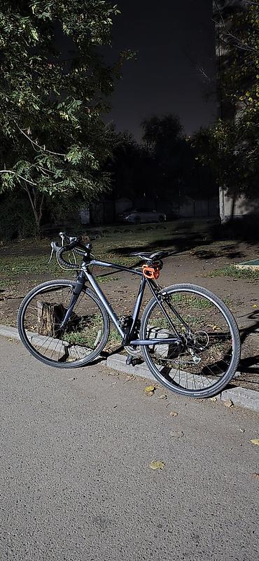 Спорт жана хобби: Шоссе велосипеди, Specialized, Велосипед алкагы M (156 - 178 см), Колдонулган — 2