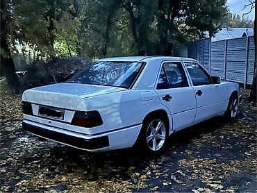 lexus e350: Mercedes-Benz E-Class: 1990 г., 2.6 л, Механика, Бензин, Седан — 4