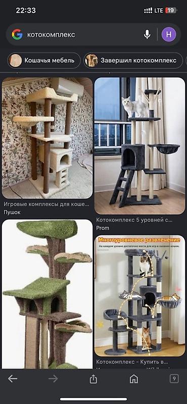 дискусы: ВОЗМЕМ В ДАР!!!!!! Котокомплексы для кошекигрушки и всякие — 1