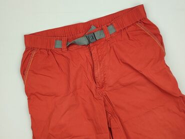 Shorts for men, L (EU 40), condition - Good