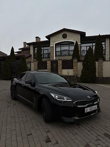 bi: Kia Stinger: 2019 г., 2 л, Автомат, Бензин, Фастбек — 1