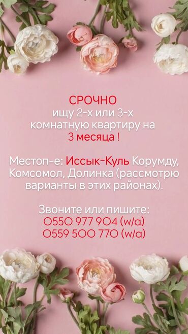 Сниму квартиру: 3 комнаты, 100 м², С мебелью