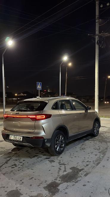 JMEV: JMEV EV3: 2019 г., Электромобиль, Кроссовер — 6
