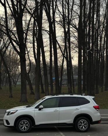 Subaru: Subaru Forester: 2022 г., 2.5 л, Вариатор, Бензин, Кроссовер — 6