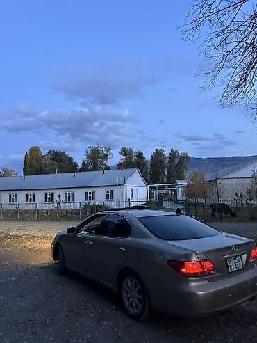 Lexus: Lexus ES: 2005 г., 3.3 л, Автомат, Седан — 2