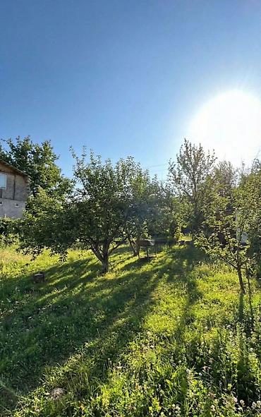 Продажа дач: 🏡🔥 ДАЧА У РЕКИ | АРАШАН 🌊⛰️ 📍 Закрытый кооператив “Предгорный” ✅ — 3