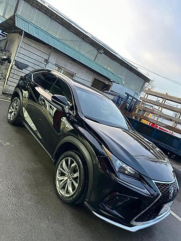 Lexus NX: 2017 г., Кроссовер at lalafo.kg Lexus NX: 2017 г., Кроссовер