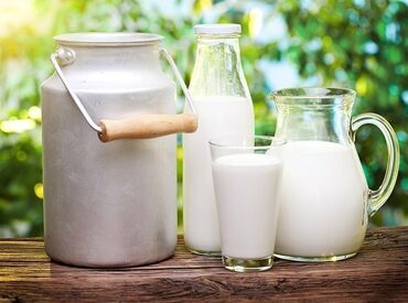 молочный оборудование: Молоко домашнее цельное молоко сут!
