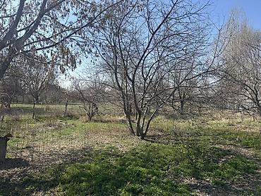 Продажа коттеджей и домов: Жилой дом с участком. Село Каирма - Одноэтажный дом/ двускатная at lalafo.kg — 5 Продажа коттеджей и домов: Жилой дом с участком. Село Каирма - Одноэтажный дом/ двускатная — 5