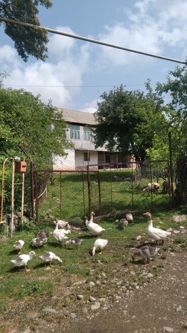 Həyət evləri və villaların satışı: 4 otaqlı, 160 kv. m, Orta təmir