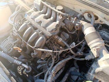 чехол на портер: Бензиновый мотор Volkswagen 2000 г., 1.6 л, Б/у, Оригинал, Германия