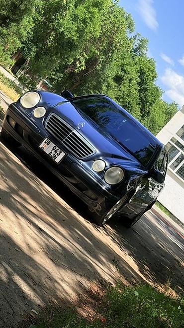 sprinter 315: Mercedes-Benz E-Class: 2001 г., Автомат, Бензин, Седан — 8