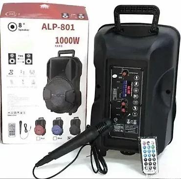 akcija ventilatora: Karaoke Bluetooth zvučnik - Zvučnik ALP 801 sa mikrofonom 🎤🔊 — 1