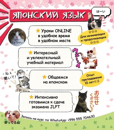 Языковые курсы: Языковые курсы Японский Для детей, Для взрослых
