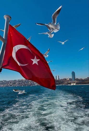 джеруй вакансии: 🇹🇷КурсыОбучения Турецкого языка 🇹🇷 7 лет опыта и проживание в