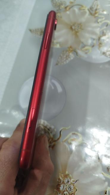 ikinci el qaz sobalari: IPhone Xr, 64 GB, Qırmızı, Face ID — 3