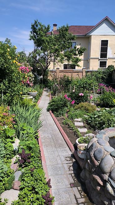 Продажа коттеджей и домов: Продам дом 2 этажа с подвалом . Участок разделен на два участка — 3