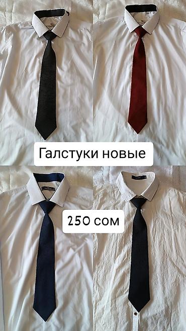 fox 40: ГАЛСТУКИ . НОВЫЕ Длина галстука-- 45 см. Для взрослых и детей — 1