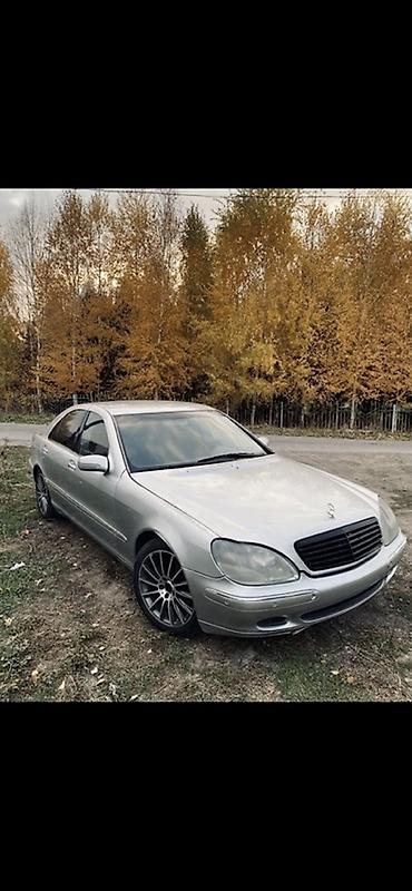 кузув спринтер: Mercedes-Benz S-Class: 1999 г., 3.2 л, Автомат, Газ, Седан — 1