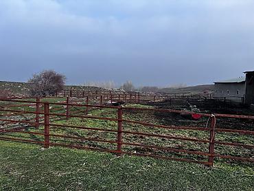 Продажа коттеджей и домов: Срочно продается дом +большой участок Адрес: Беловодский село Бала at lalafo.kg — 13 Продажа коттеджей и домов: Срочно продается дом +большой участок Адрес: Беловодский село Бала — 13