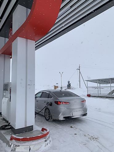 Hyundai: Hyundai Sonata: 2019 г., 0.2 л, Автомат, Газ, Седан — 6