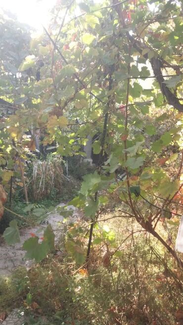 Продажа домов: Полдома, 57 м², 3 комнаты, Агентство недвижимости, Старый ремонт — 4