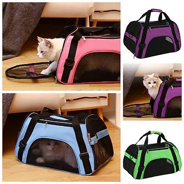 Зоотовары: Продаю шлейки для кошек и собак,поводки/рулетки,лежанки,машинки для — 25