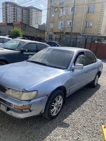 синяя toyota: Toyota Corolla: 1993 г., 1.6 л, Автомат, Бензин, Седан