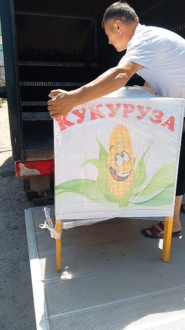 варка: Аппарат для варки кукурузы (уличная/ярмарочная точка) Поместимость — 4