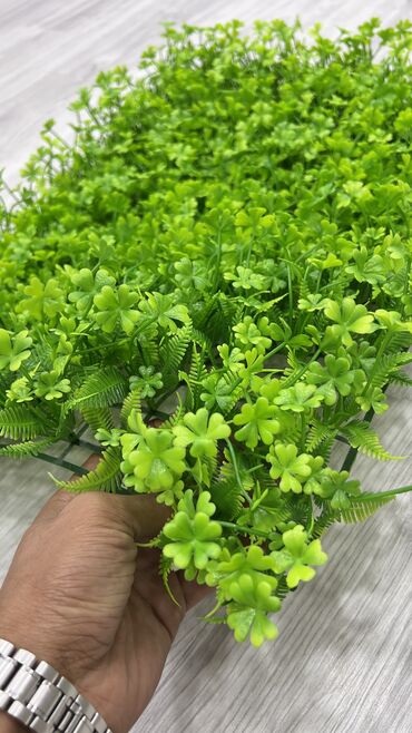 Linoleum: Qi̇ymətlər 10 azn başlayir depodan bir başa satiş suni̇ qazonlar — 7