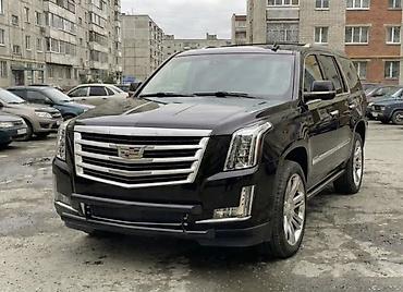 cadi: Кенгурятник Cadillac, Новый, Бесплатная доставка — 2