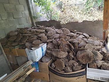бу отун: Топливные лепёшки из навоза (коровий кизяк) - Натуральное биотопливо — 1