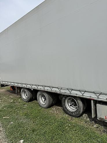 даф 2019: Тягач, Renault, 2010 г., Тентованный — 8
