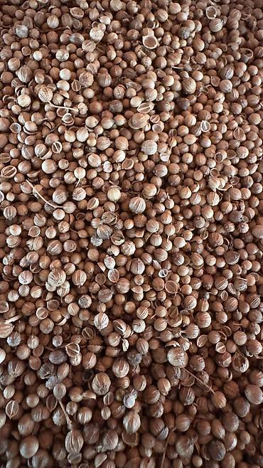 Toxumlar: ✨ 4 Mövsüm ✨ 🌱 Artıq evinizdə və bağçanızda təbii, dərmansız və — 3