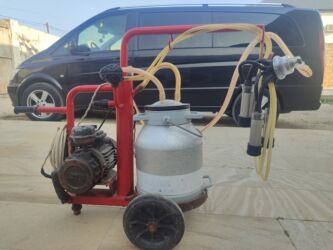 бу морозильная камера купить: Tək bidon, Paslanmaz bidon