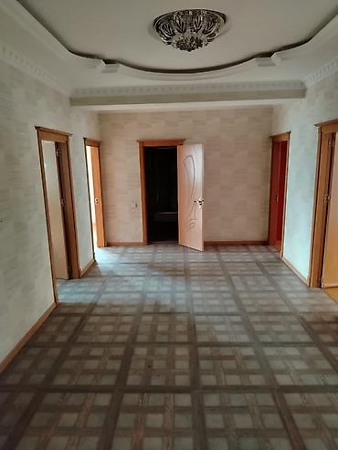icare ofis: ✨ Xətai Ərazisində, Kazak Səfirliyinin Yaxınlığında 185 m² — 2