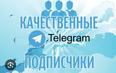 программирование курсы: 🚀 Хотите быстро и эффективно увеличить аудиторию вашего канала? Мы