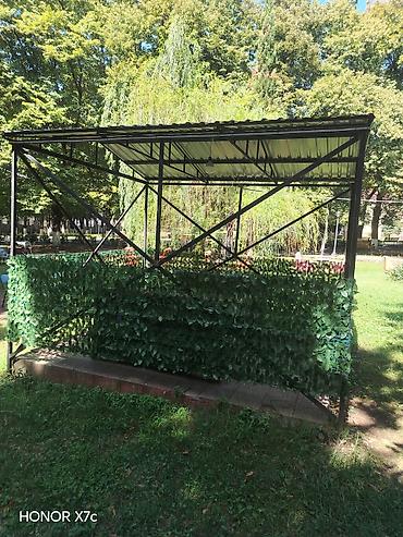 maral buynuzu bitkisi: Metal karkaslı açıq hava kölgəlik/pavilon - Ölçü: təxminən 4×6 m — 1