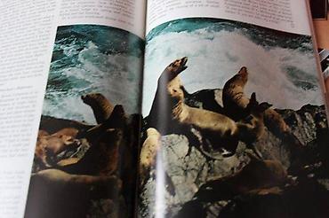 Knjige: NATIONAL GEOGRAPHIC MART 1972. | National Geographic Mart 1972 — 6