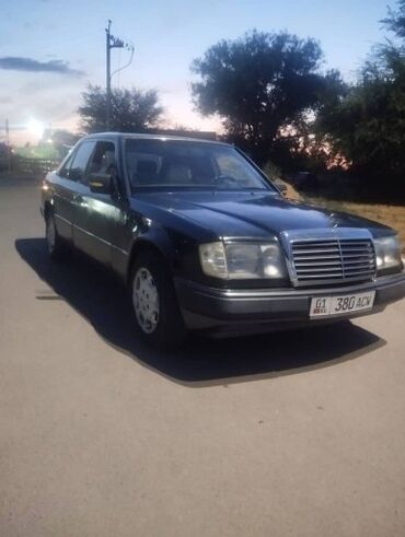 биндеры 230 листов лучшие: Mercedes-Benz 230: 1990 г., 2.3 л, Механика, Бензин, Седан