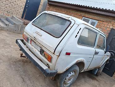 уваз нива: ВАЗ (ЛАДА) 2121 (4x4): 1984 г., 1.7 л, Механика, Бензин, Внедорожник — 2