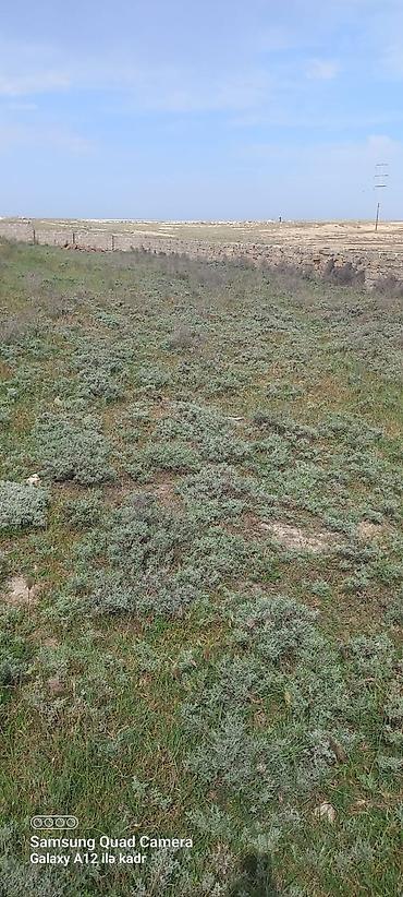 qala ev: 15 sot, Tikinti, Barter mümkündür, Bələdiyyə — 3