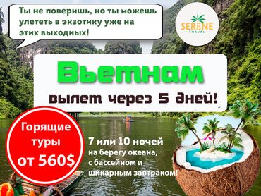 бишкек вьетнам туры: 🚨 Вьетнам — вылет через 5 дней! Горящие туры от 560$ 😱☀️ Ты не