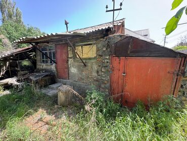 тянь шаньские ели: Снос стен, Разбор полов, Снятие потолков Больше 6 лет опыта