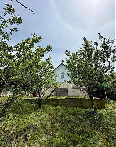 продам дом киргизия 1: 🏡🔥 ПРОДАЁТСЯ ДАЧА В ТАШ-МОЙНОКЕ! ДТ: «Мичуринец» 🌿 💥 Участок — 6 — 4